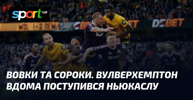 Вовки і Сороки. Вулверхемптон зазнав поразки вдома від Ньюкасла.