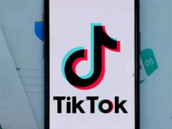 Розкрито найбільш трендові модні бренди на TikTok