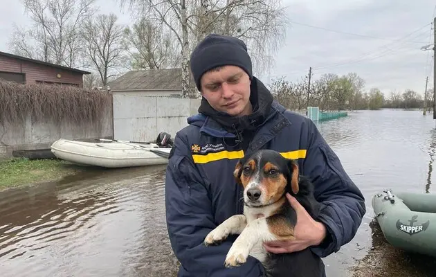 Україна висловила готовність надати Польщі підтримку у боротьбі з повенями, повідомив Туск.