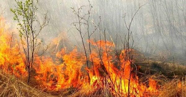 У Буковині чоловік загинув від задушення під час спалювання сухої трави.